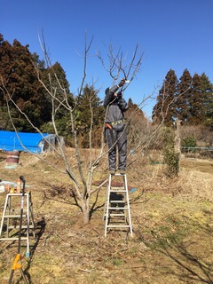1393100A-1EC9-4EF8-A153-C4B8C1F9CC2F.jpeg