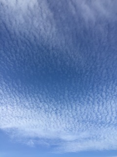 88574CA8-B3B0-4327-941D-6A1D40E66AD5.jpeg