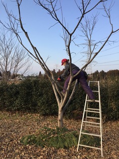 8DBEBFE0-C634-4D15-A9A2-14E578201603.jpeg