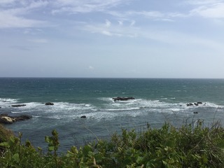 951A5B6D-7F95-464D-B487-01FE940F04D7.jpeg