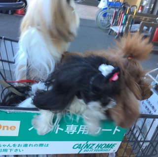 AD887A1D-E41D-4FE3-B131-67DEC79481DB.jpeg