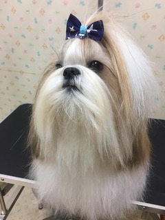 BB118B39-B75A-48B8-90FB-5323613CDAB3.jpeg
