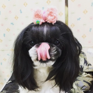 C17B92BB-7E0A-463E-A5BF-59F4047BF0D3.jpeg