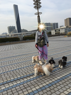 D8B553FE-95DC-454D-A423-5527E08FA951.jpeg