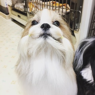 E00AE154-2624-4C29-966F-80B5AE045DE7.jpeg