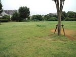 CA3F0296.jpg