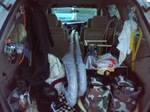 CA3F0318.jpg